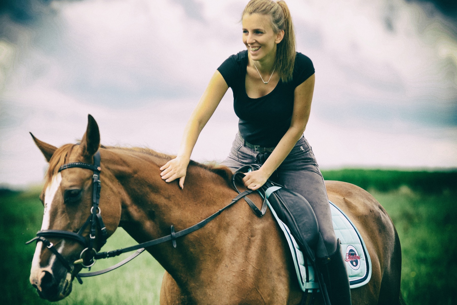 Mensch und Pferd nehmen ihre Umwelt ganz unterschiedlich wahr doch eines ist bei beiden ausschlaggebend für den Beziehungsaufbau Vertrauen! – ©Unsplash