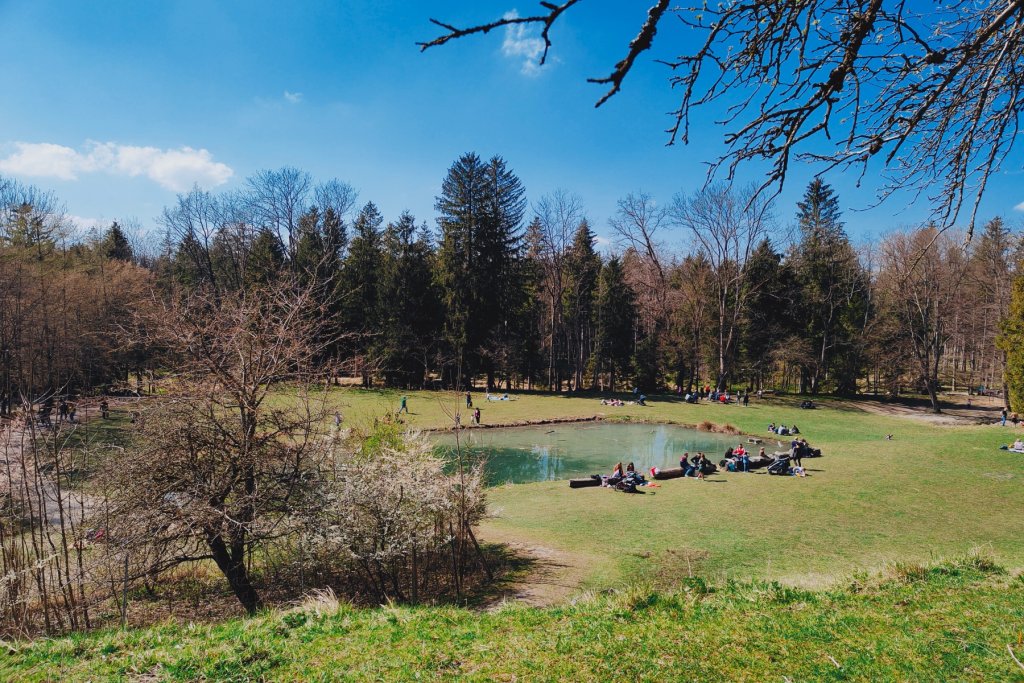 Landsberger Wildpark Frühjahr Blick auf den Teich 1
