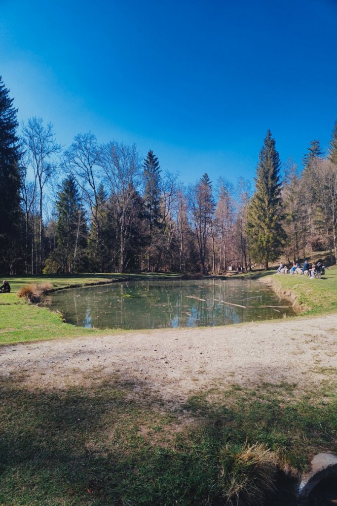 Landsberger Wildpark Frühjahr 14 Teich 1